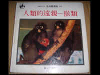 Image of 人類的遠親--猴類