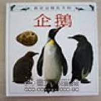 Image of 企鵝